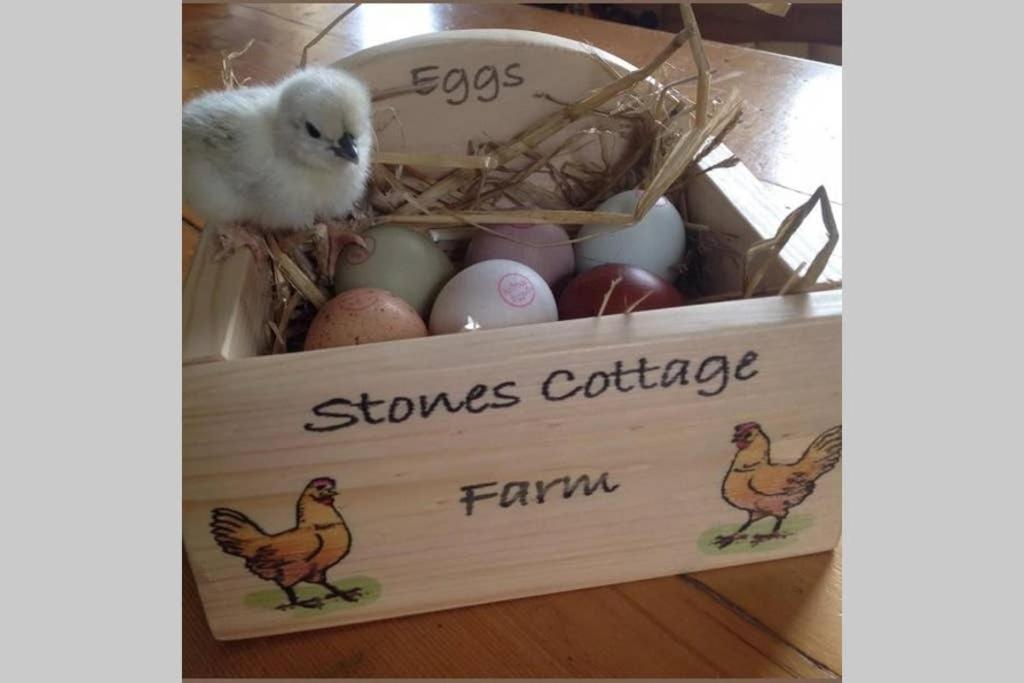 Stones Cottage Farm, Nr Haworth, Family Friendly, Work Friendly, Gaming Barn, Crafting, Free Wifi, Free Parking, Ev Point Oxenhope Eksteriør bilde
